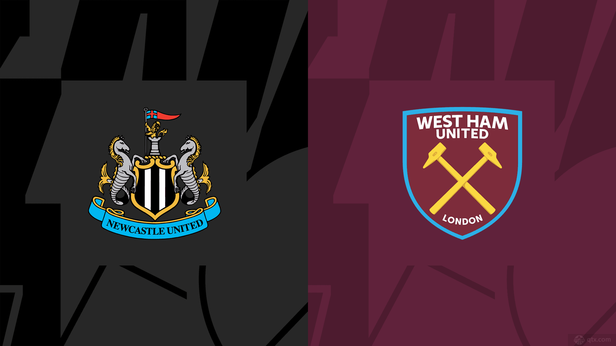 中的顽强精 中的顽强精